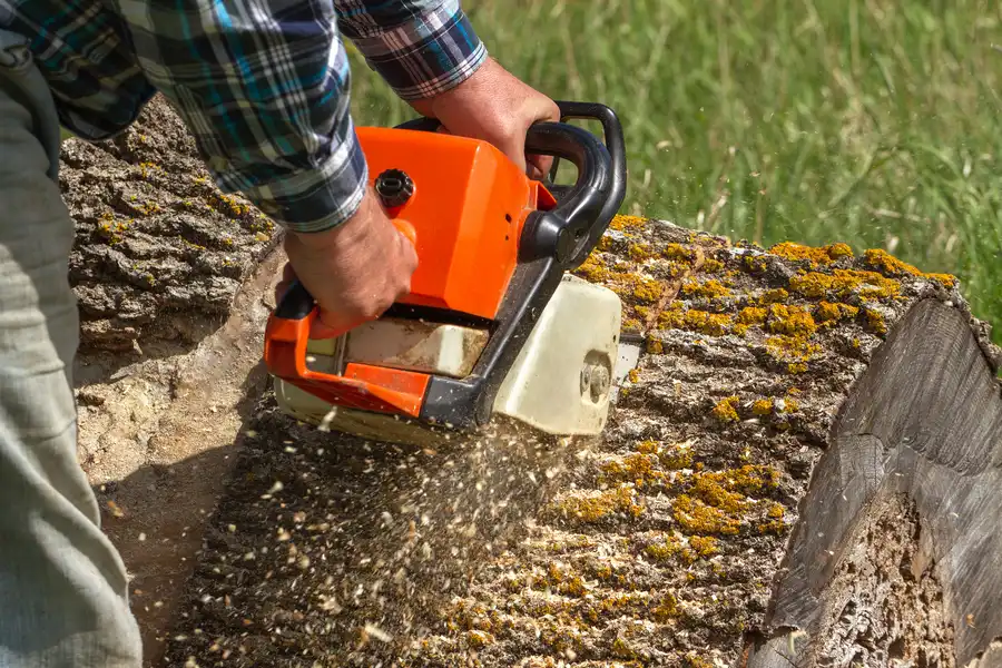 Tree Service